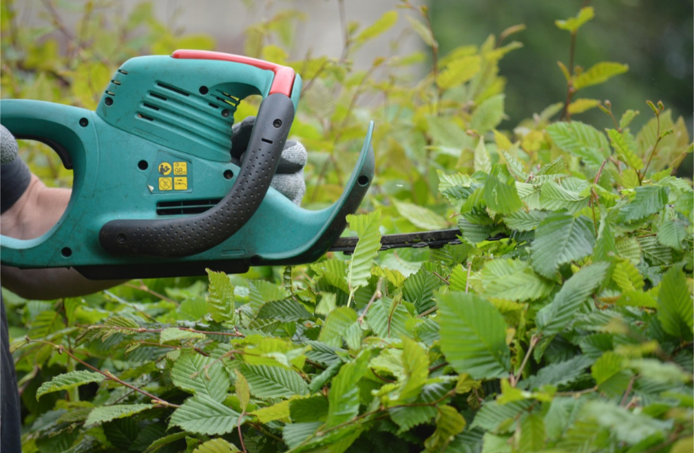 Lawn mowing